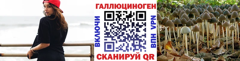 даркнет состав  блэк спрут зеркало  Сухой Лог  цены   Галлюциногенные грибы GOLDEN TEACHER 